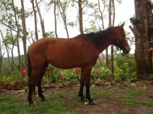 1011640_10203430957913000_528737110_n