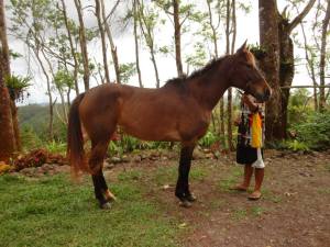 1601381_10203430960993077_1550115559_n