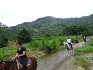 11392997_10153336524059029_3519386923617416158_n