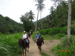 11406958_10153336523564029_1518871986297877618_n