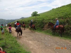 11412223_10153336521444029_8874096056266358468_n