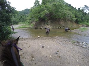 11536065_10153336539939029_5574802008651323159_n