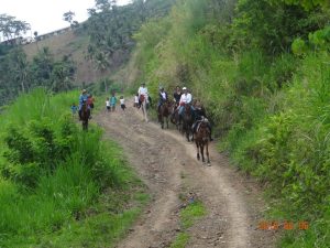 11536129_10153336522884029_2265866200910988582_n